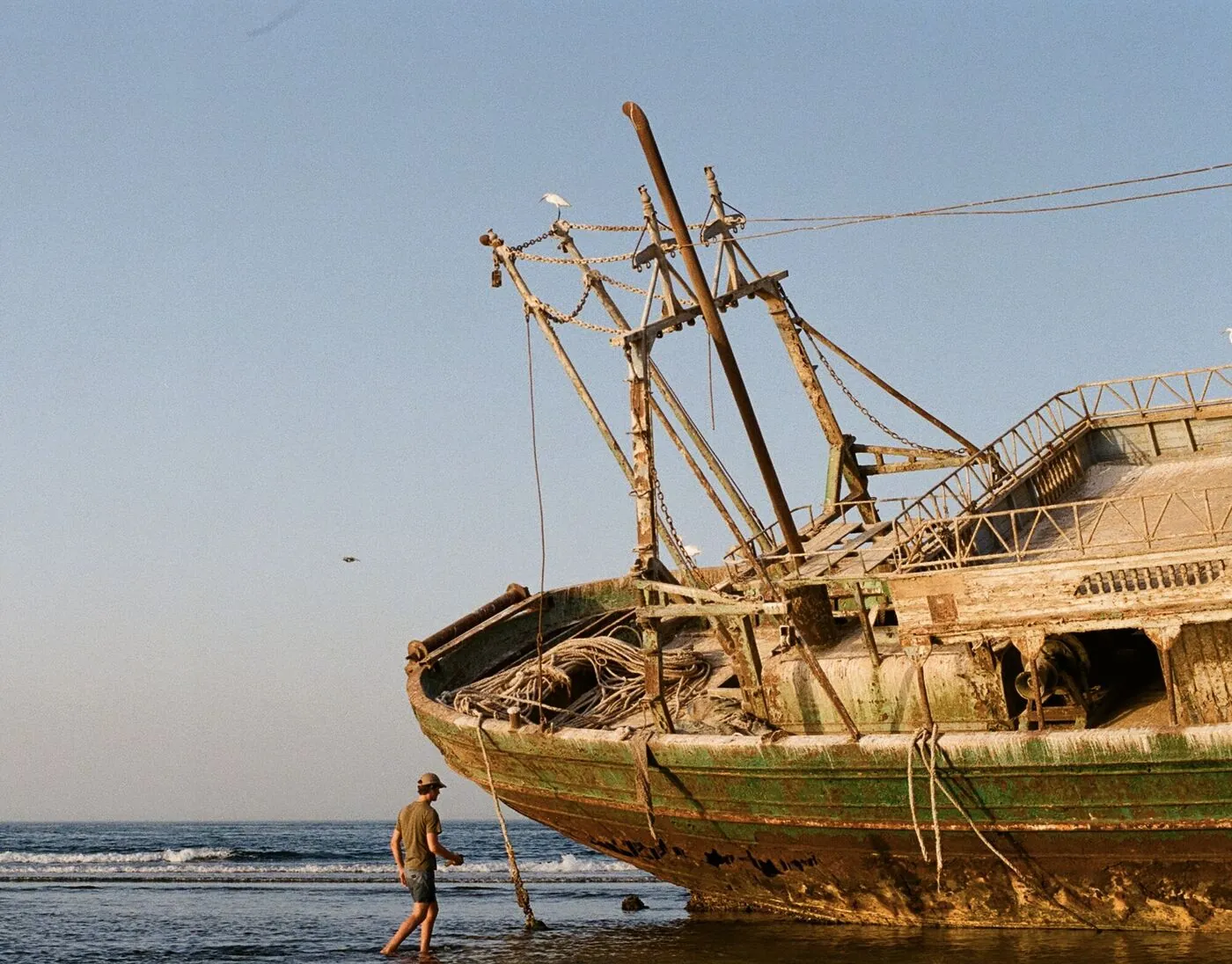 A man walking the surf beside a beached, rusting fishing trawler at golden hour