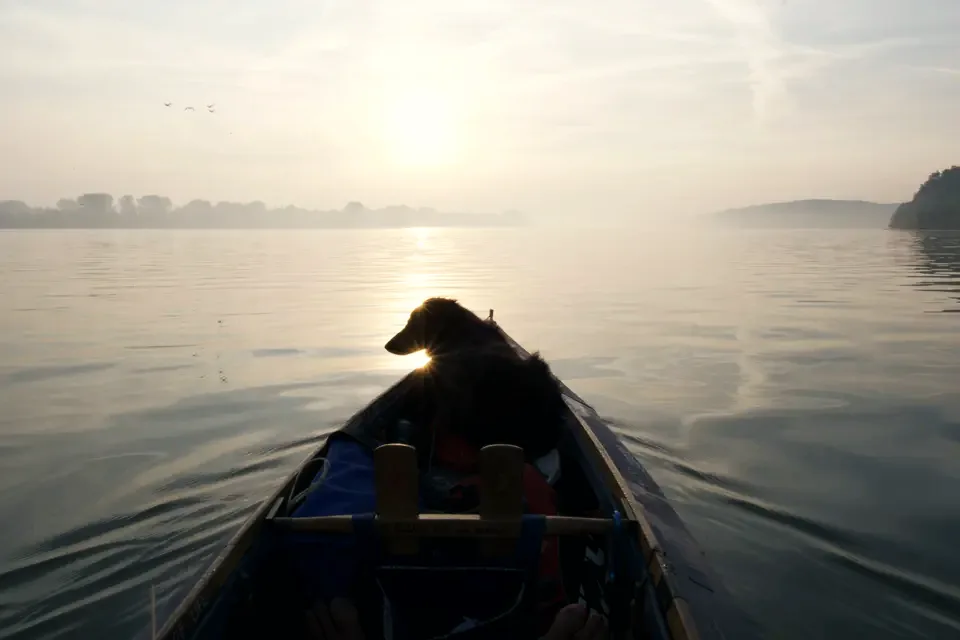 Donau, Belgrade, Serbien